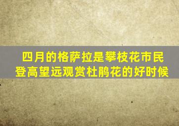 四月的格萨拉是攀枝花市民登高望远观赏杜鹃花的好时候