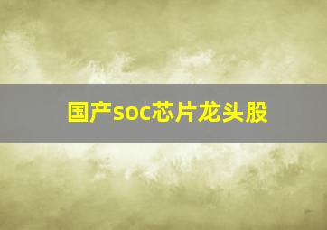 国产soc芯片龙头股