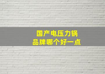 国产电压力锅品牌哪个好一点