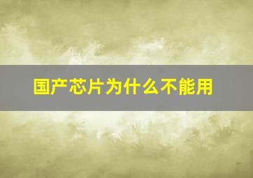 国产芯片为什么不能用