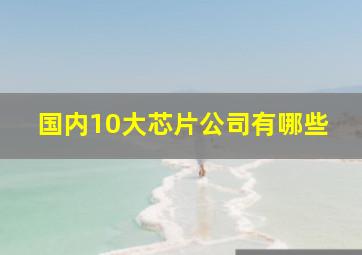 国内10大芯片公司有哪些