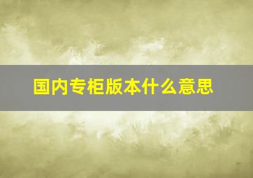 国内专柜版本什么意思