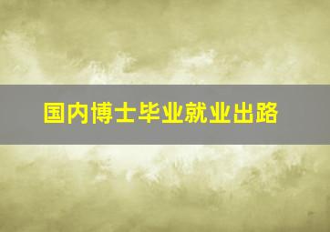 国内博士毕业就业出路