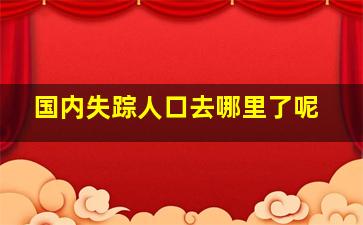 国内失踪人口去哪里了呢