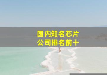 国内知名芯片公司排名前十