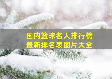 国内篮球名人排行榜最新排名表图片大全