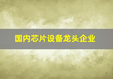 国内芯片设备龙头企业