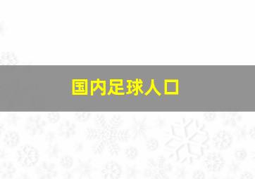 国内足球人口