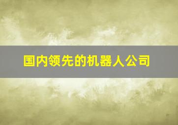 国内领先的机器人公司