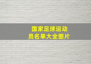 国家足球运动员名单大全图片