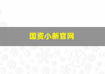 国资小新官网