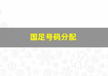 国足号码分配