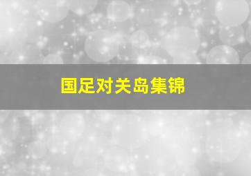 国足对关岛集锦