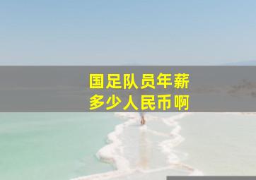 国足队员年薪多少人民币啊