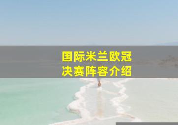 国际米兰欧冠决赛阵容介绍