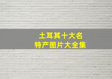 土耳其十大名特产图片大全集