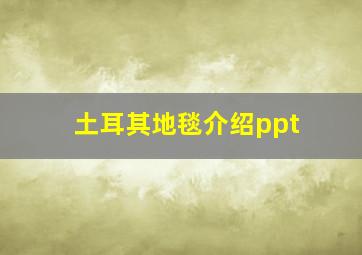 土耳其地毯介绍ppt