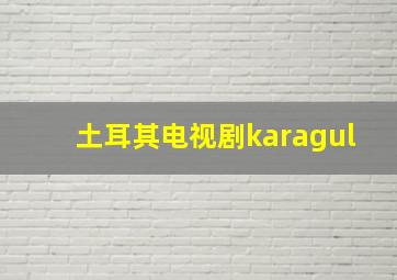 土耳其电视剧karagul