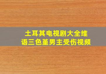 土耳其电视剧大全维语三色堇男主受伤视频