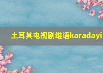 土耳其电视剧维语karadayi