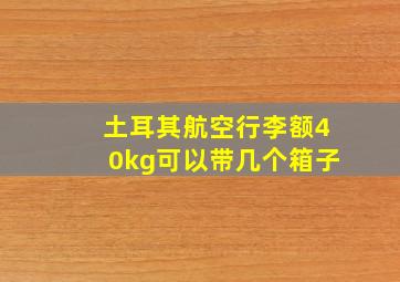 土耳其航空行李额40kg可以带几个箱子