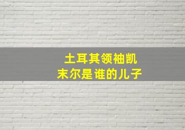 土耳其领袖凯末尔是谁的儿子