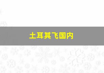 土耳其飞国内