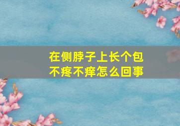 在侧脖子上长个包不疼不痒怎么回事