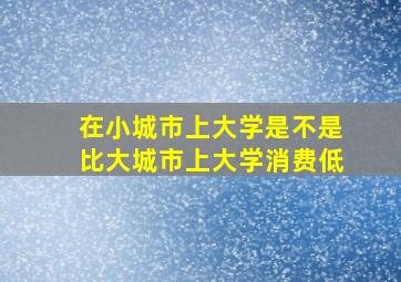 在小城市上大学是不是比大城市上大学消费低