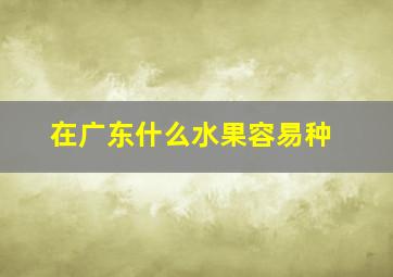 在广东什么水果容易种