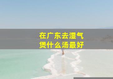 在广东去湿气煲什么汤最好