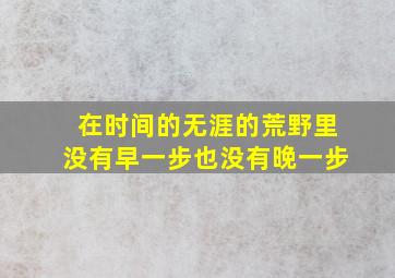 在时间的无涯的荒野里没有早一步也没有晚一步