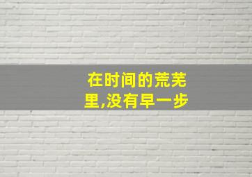 在时间的荒芜里,没有早一步