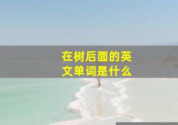 在树后面的英文单词是什么