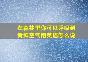 在森林里你可以呼吸到新鲜空气用英语怎么说