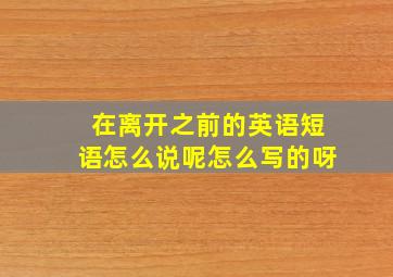 在离开之前的英语短语怎么说呢怎么写的呀