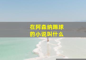 在阿森纳踢球的小说叫什么