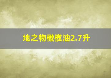 地之物橄榄油2.7升