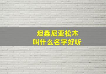 坦桑尼亚松木叫什么名字好听