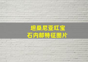 坦桑尼亚红宝石内部特征图片