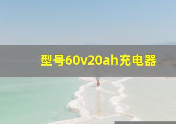 型号60v20ah充电器