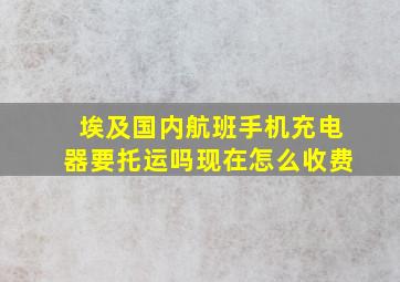 埃及国内航班手机充电器要托运吗现在怎么收费