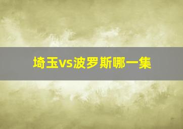 埼玉vs波罗斯哪一集