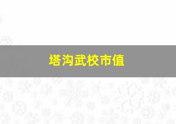 塔沟武校市值