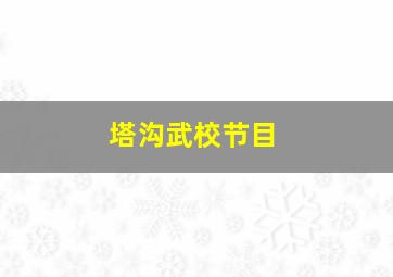 塔沟武校节目