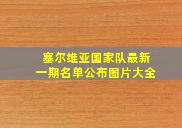 塞尔维亚国家队最新一期名单公布图片大全