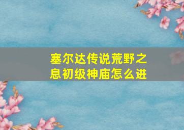 塞尔达传说荒野之息初级神庙怎么进