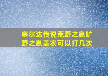 塞尔达传说荒野之息旷野之息盖农可以打几次