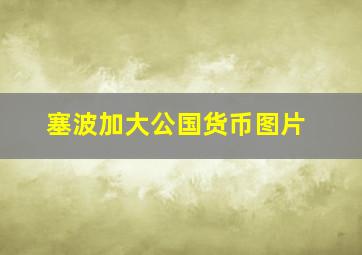 塞波加大公国货币图片