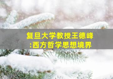 复旦大学教授王德峰:西方哲学思想境界